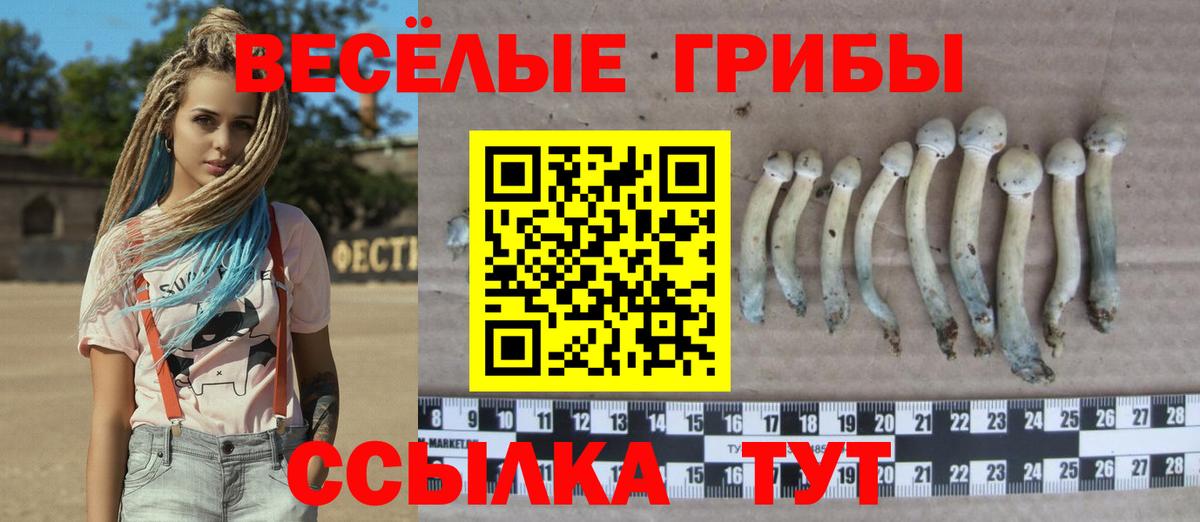 Мефедрон   А ПВП СОЛЬ кристаллы  Вход с VPN  Магадан  Канабис  ГАШ 