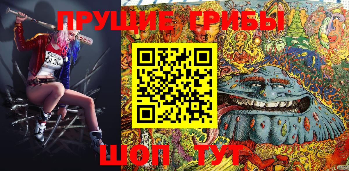 Галлюциногенные грибы MAGIC MUSHROOMS  Вход с VPN  Магадан 
